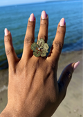 RING FLORA