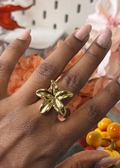 RING MIA
